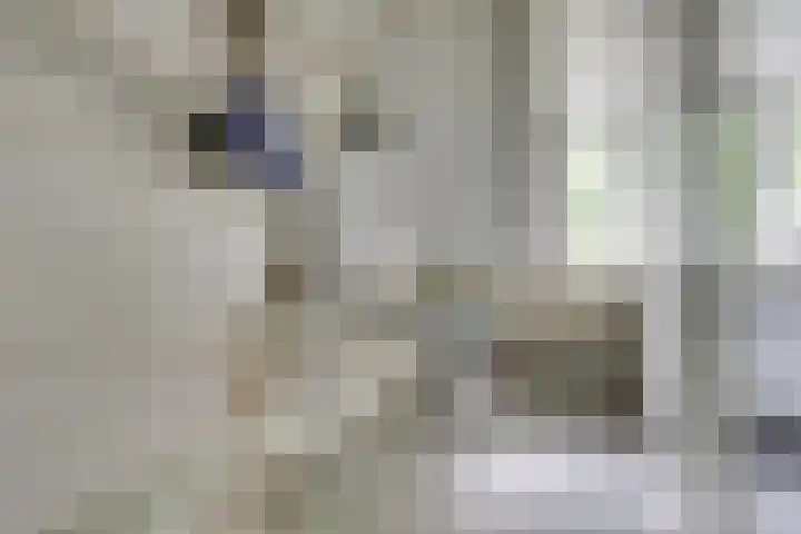 Robijndrift 10 Nieuwegein thumbnail 23