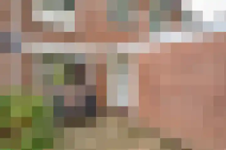 Robijndrift 10 Nieuwegein thumbnail 29