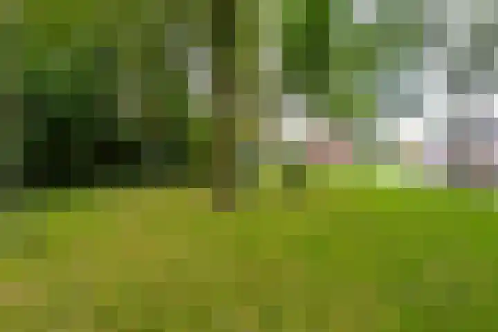 Robijndrift 10 Nieuwegein thumbnail 32