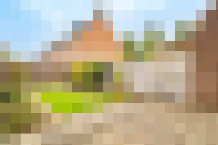 Robijndrift 10 Nieuwegein thumbnail 6