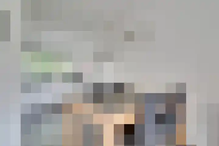 Robijndrift 10 Nieuwegein thumbnail 8