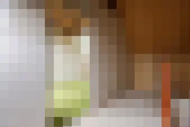 Robijndrift 25 Nieuwegein thumbnail 32