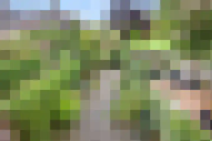 Robijndrift 25 Nieuwegein thumbnail 39