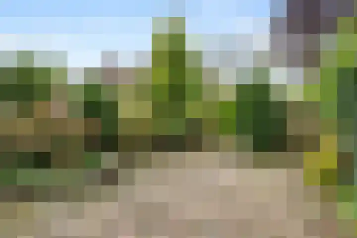 Robijndrift 25 Nieuwegein thumbnail 41