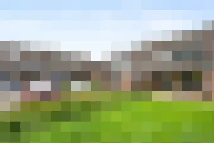 Robijndrift 25 Nieuwegein thumbnail 46