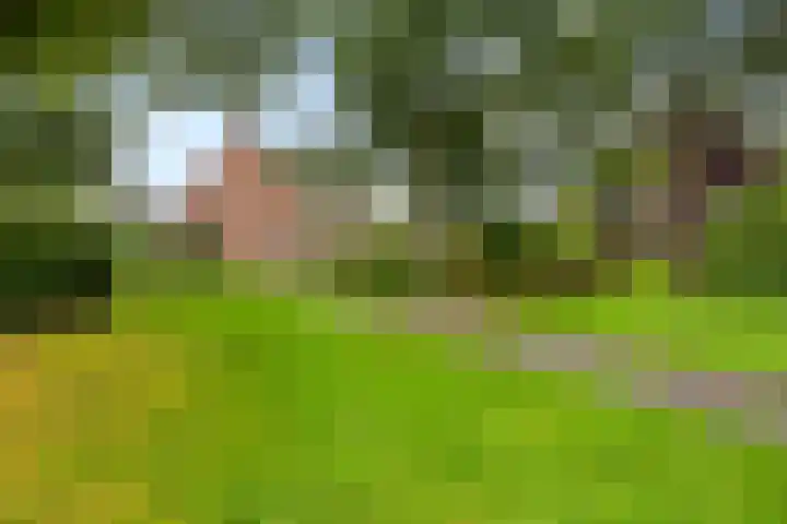 Robijndrift 25 Nieuwegein thumbnail 49