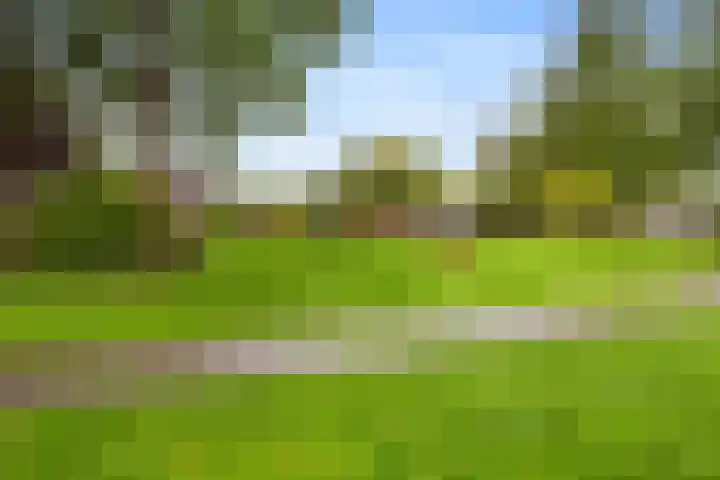 Robijndrift 25 Nieuwegein thumbnail 50