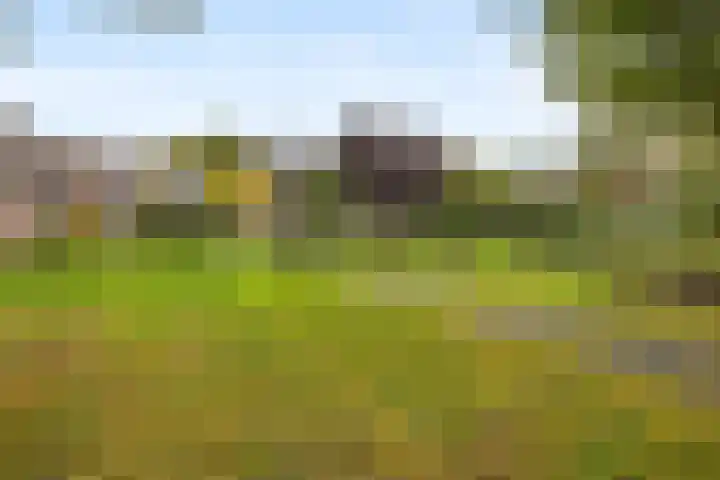 Robijndrift 25 Nieuwegein thumbnail 51