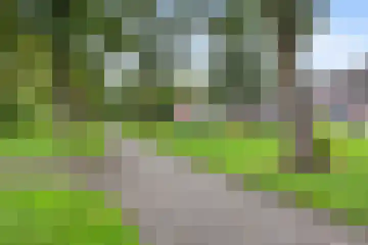 Robijndrift 25 Nieuwegein thumbnail 52