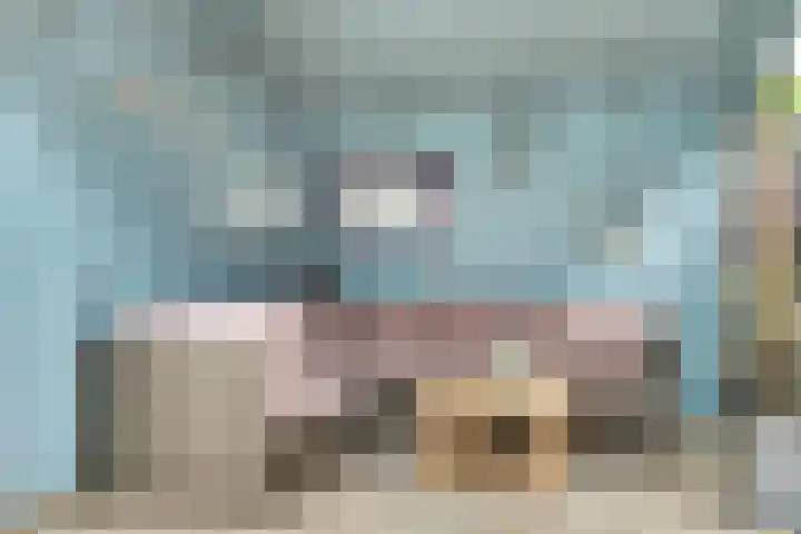 Robijndrift 36 Nieuwegein thumbnail 31
