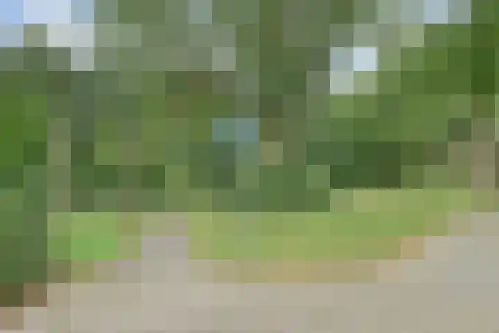 Robijndrift 36 Nieuwegein thumbnail 34