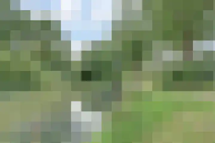 Robijndrift 36 Nieuwegein thumbnail 35