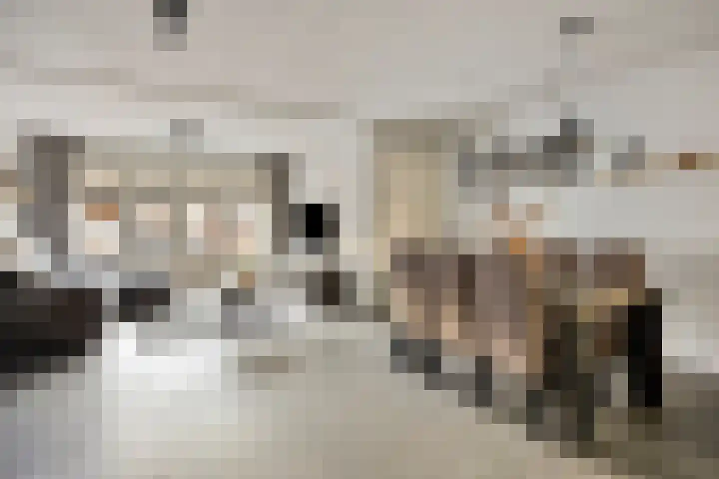 Robijnenbosweg 11 Veenendaal thumbnail 10
