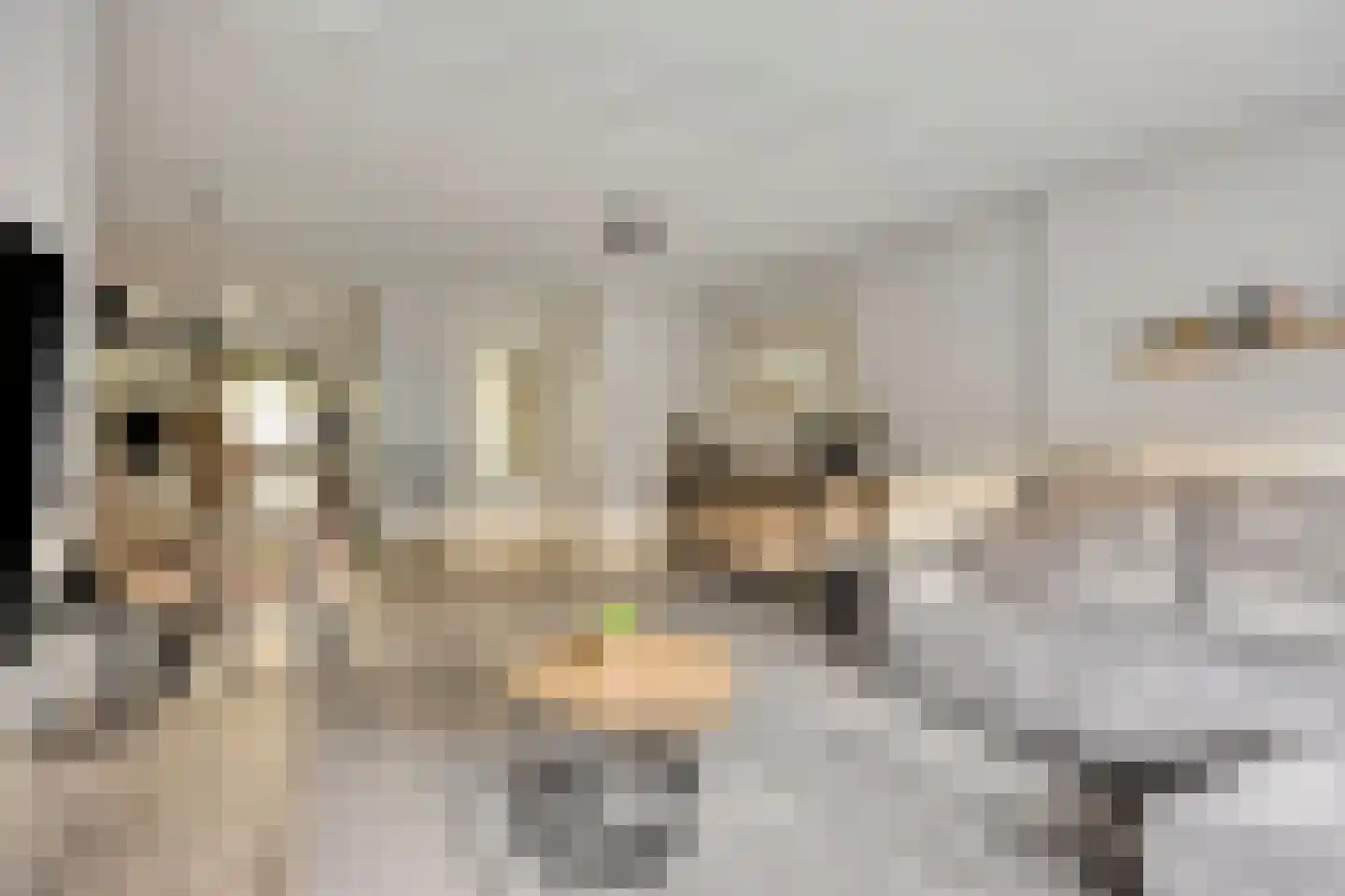 Robijnenbosweg 11 Veenendaal thumbnail 14