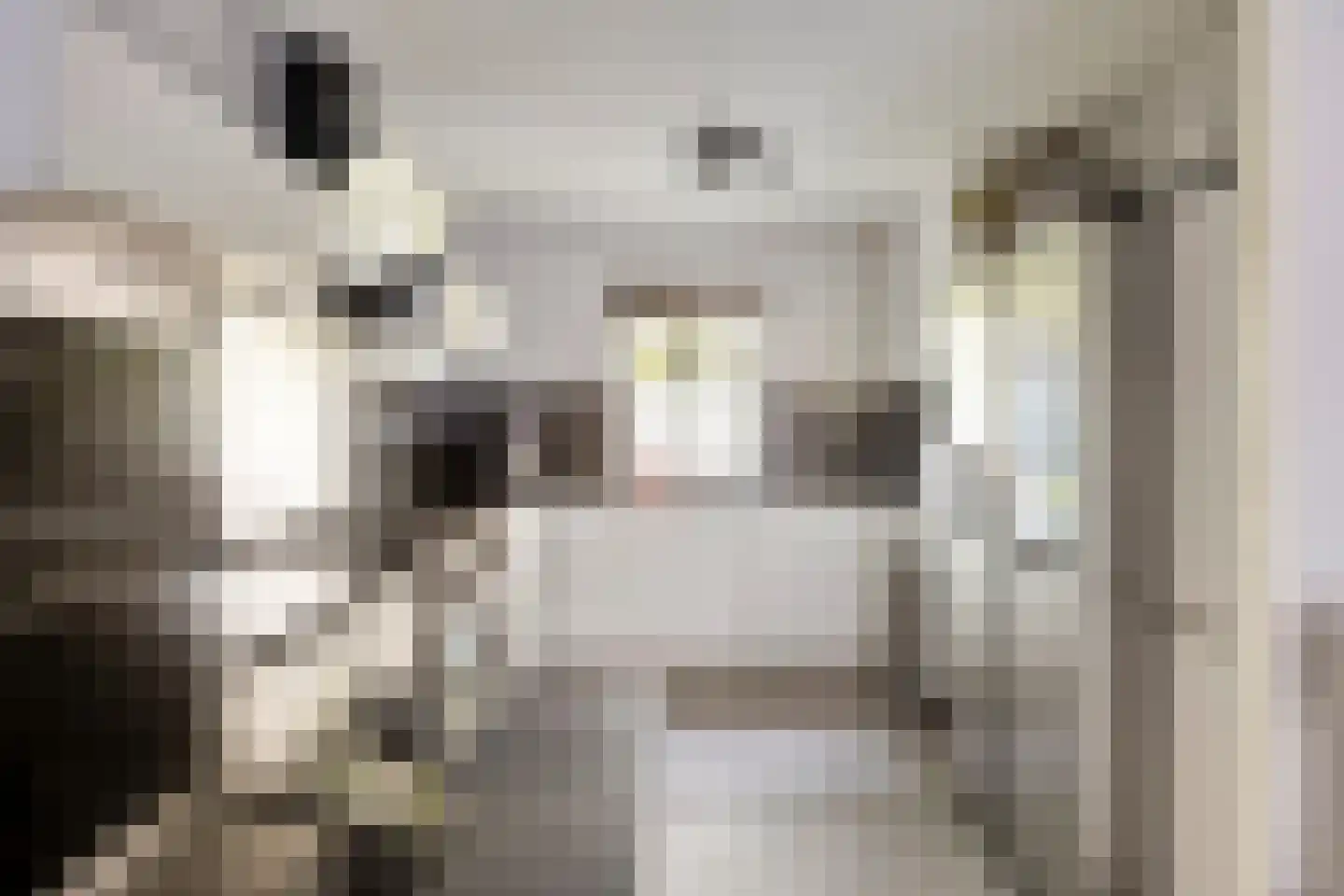 Robijnenbosweg 11 Veenendaal thumbnail 16