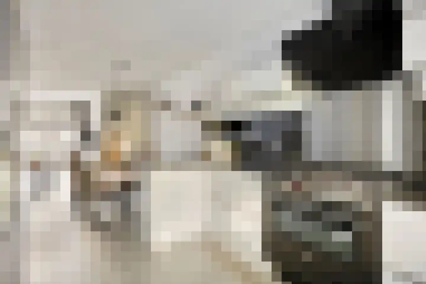 Robijnenbosweg 11 Veenendaal thumbnail 17