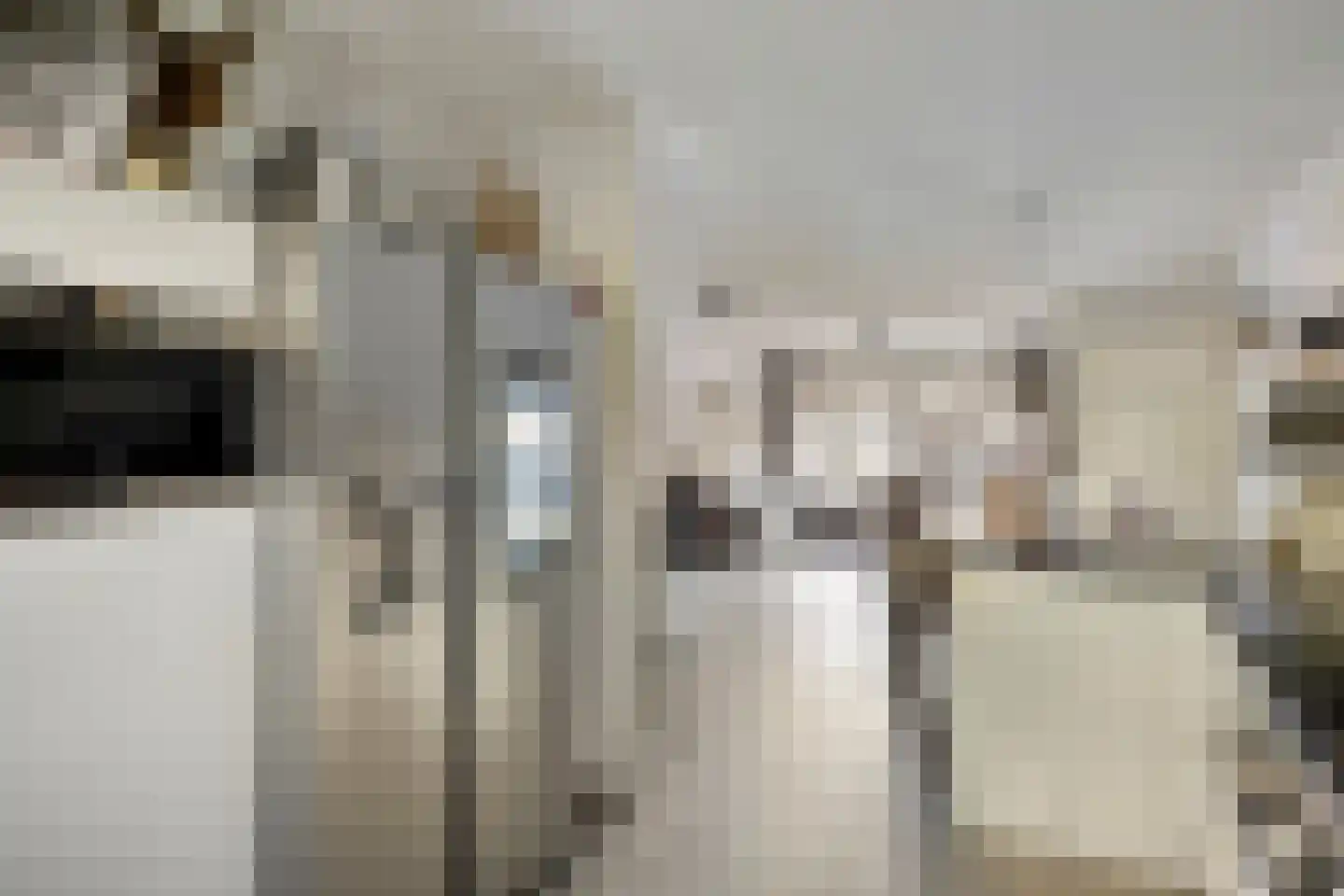Robijnenbosweg 11 Veenendaal thumbnail 18