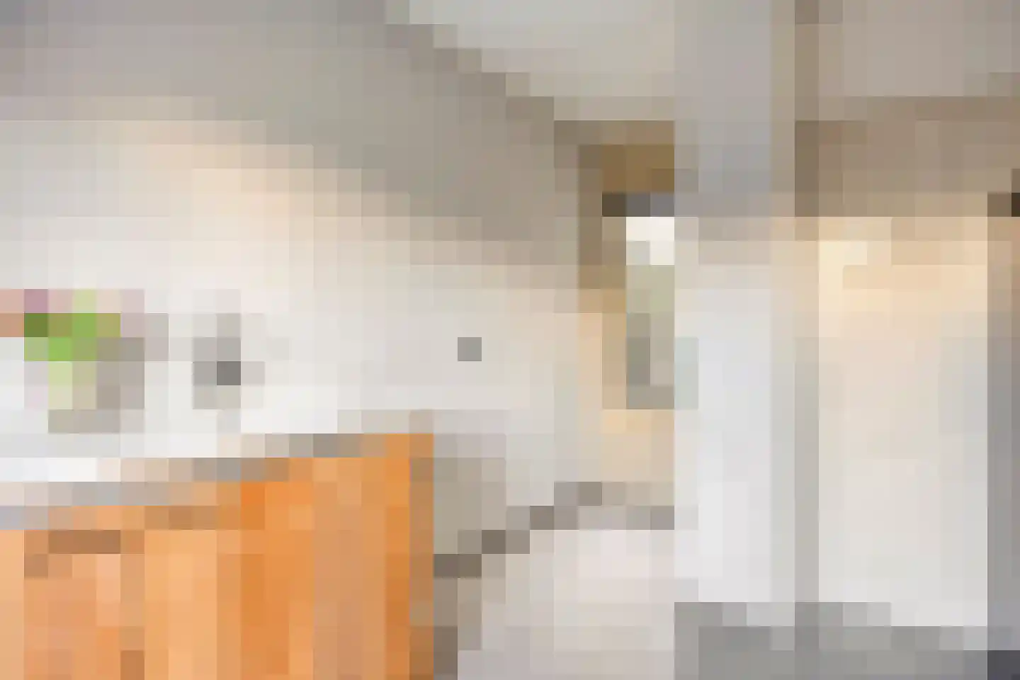 Robijnenbosweg 11 Veenendaal thumbnail 20
