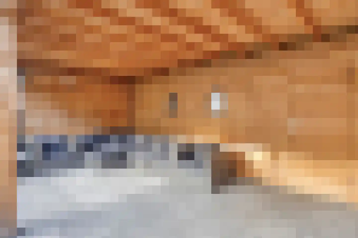 Robijnenbosweg 11 Veenendaal thumbnail 36