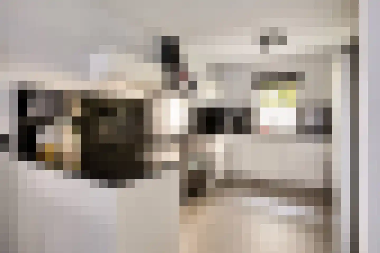 Robijnenbosweg 11 Veenendaal thumbnail 4