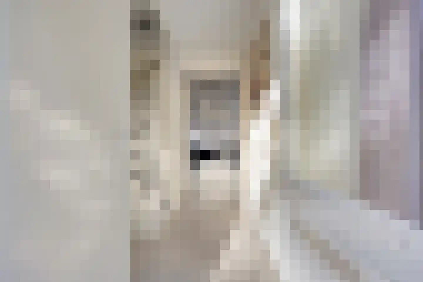 Robijnenbosweg 11 Veenendaal thumbnail 8