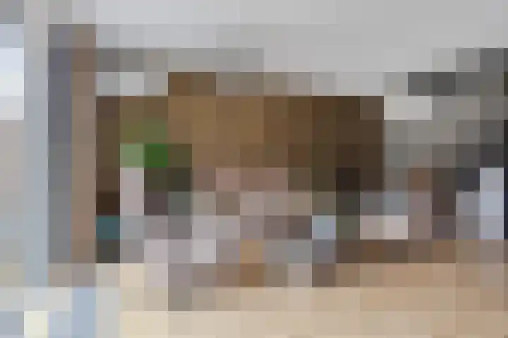 Robijnhoven 56 Rhoon thumbnail 11