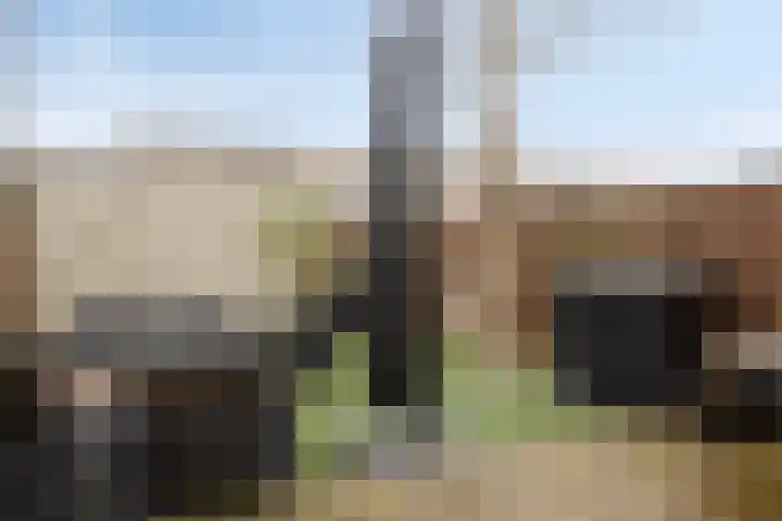 Robijnhoven 56 Rhoon thumbnail 23