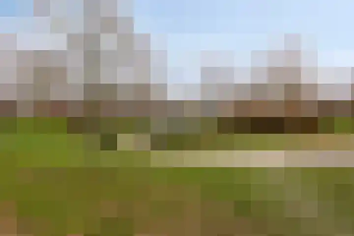 Robijnhoven 56 Rhoon thumbnail 25