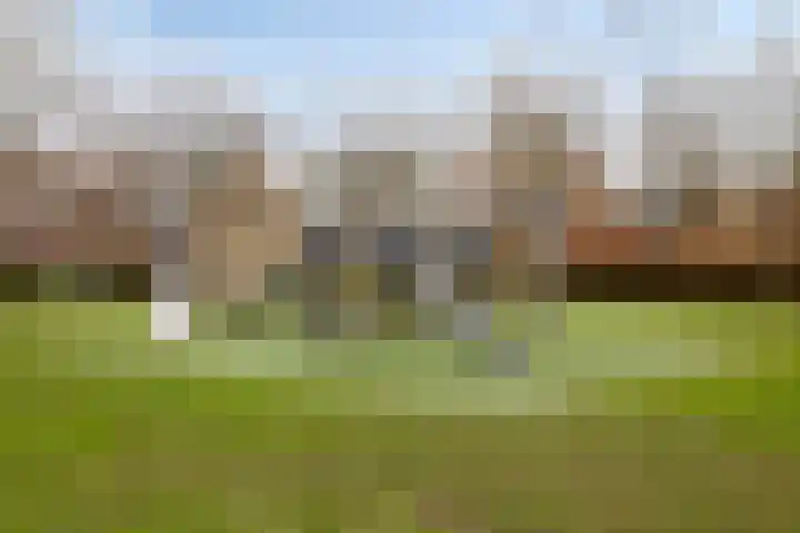 Robijnhoven 56 Rhoon thumbnail 26