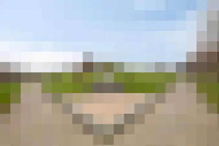 Robijnhoven 56 Rhoon thumbnail 27