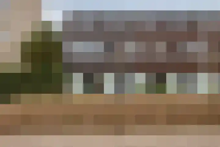 Robijnhoven 56 Rhoon thumbnail 5
