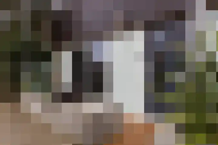 Robijnhoven 56 Rhoon thumbnail 6