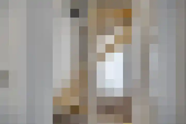 Robijnlaan 51 Cuijk thumbnail 15