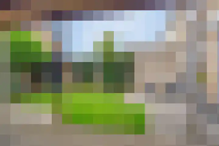 Robijnlaan 51 Cuijk thumbnail 28