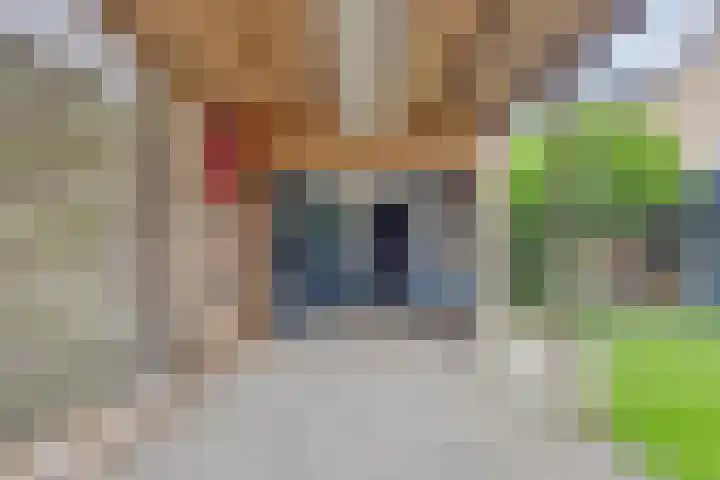 Robijnlaan 51 Cuijk thumbnail 33
