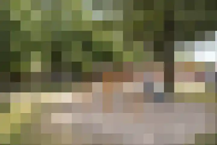 Robijnlaan 51 Cuijk thumbnail 36