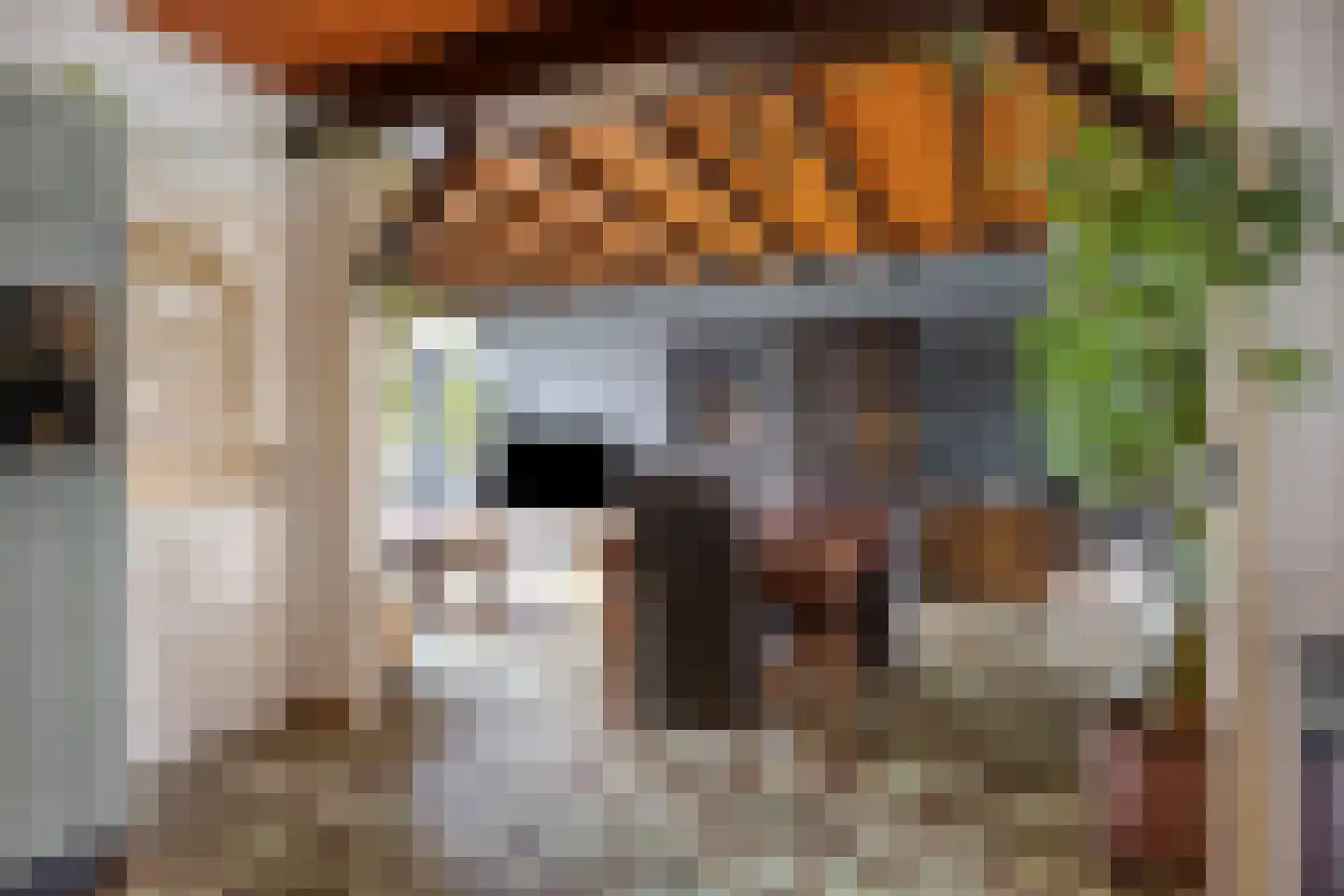 Robijnlaan 72 Cuijk thumbnail 17