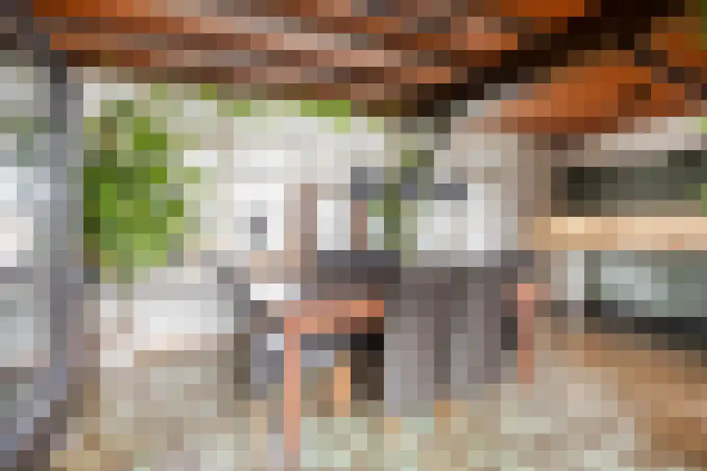 Robijnlaan 72 Cuijk thumbnail 21