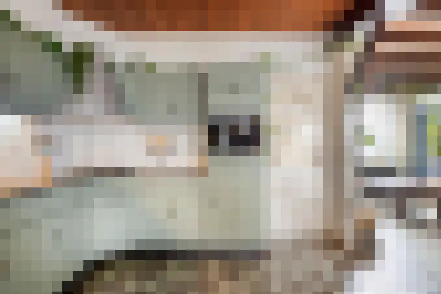 Robijnlaan 72 Cuijk thumbnail 25