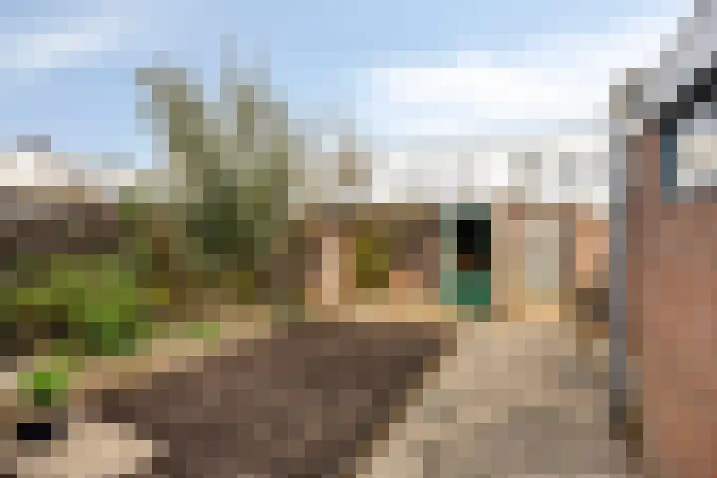 Robijnlaan 72 Cuijk thumbnail 4