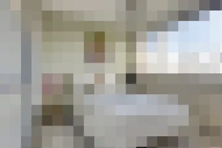Robijnlaan 76 Cuijk thumbnail 19