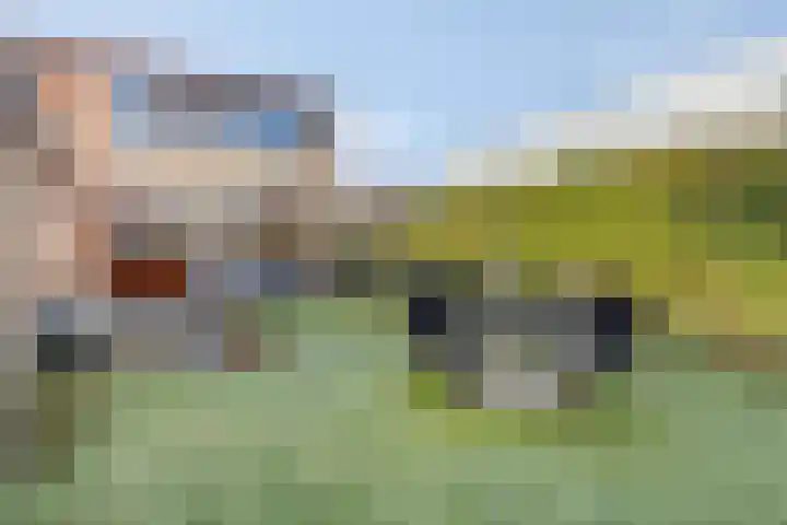 Robijnlaan 76 Cuijk thumbnail 24