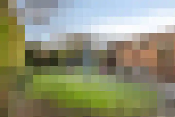 Robijnlaan 76 Cuijk thumbnail 26
