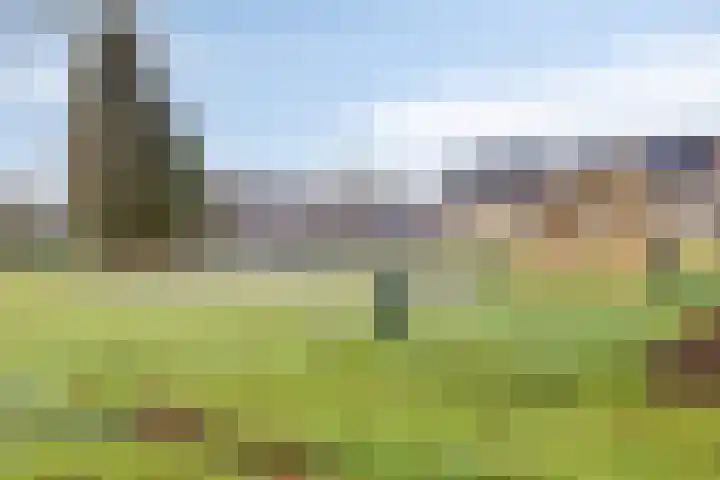 Robijnlaan 76 Cuijk thumbnail 27