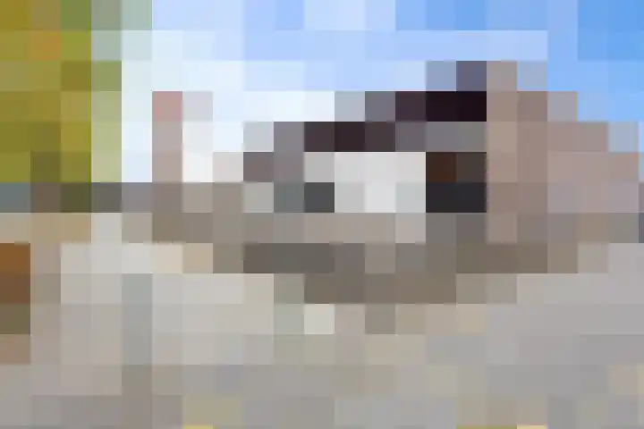 Robijnlaan 76 Cuijk thumbnail 28