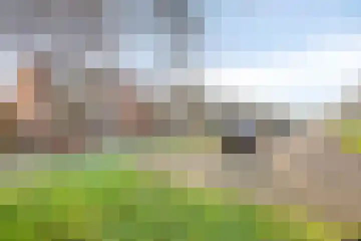 Robijnlaan 76 Cuijk thumbnail 5