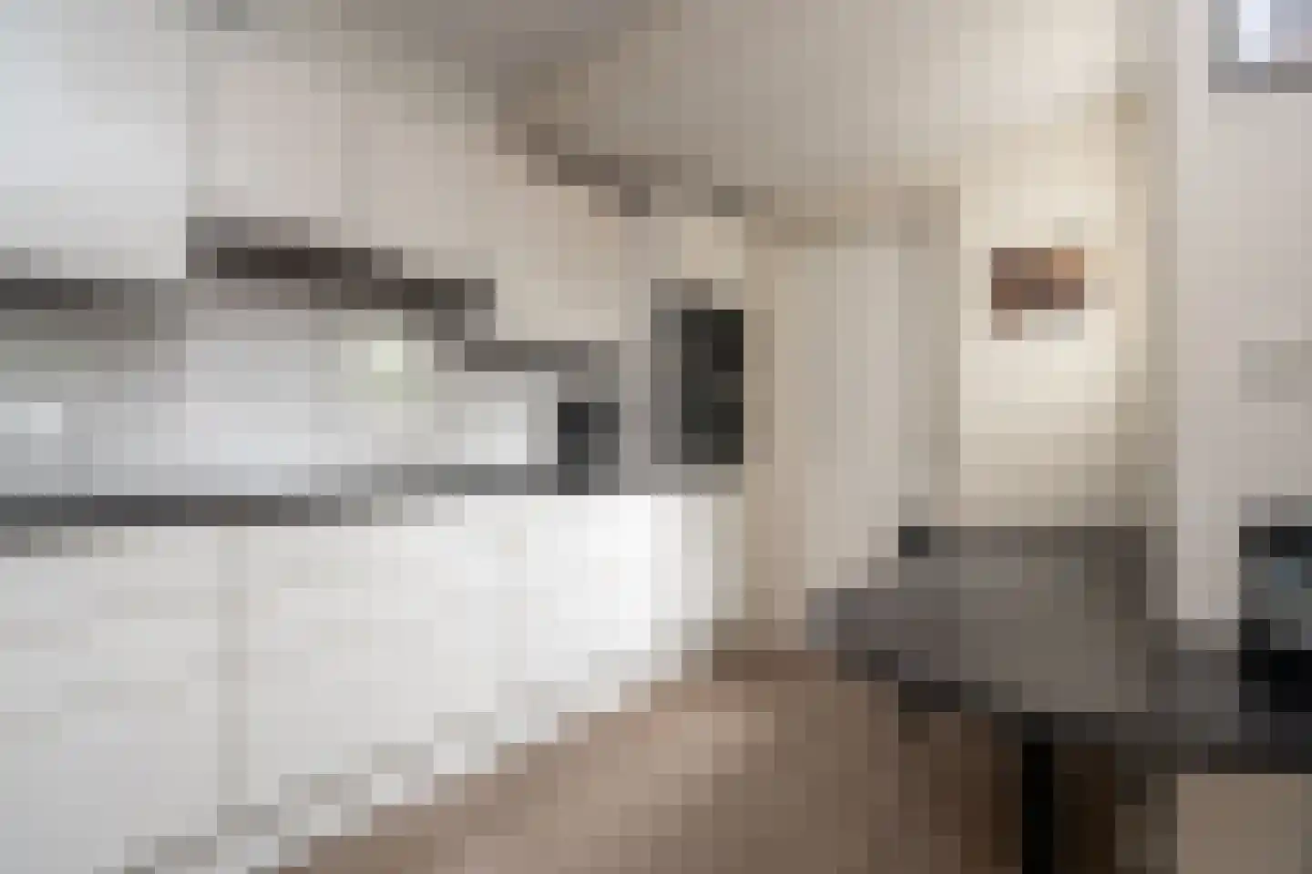 Robijnlaan 8 Veendam thumbnail 15