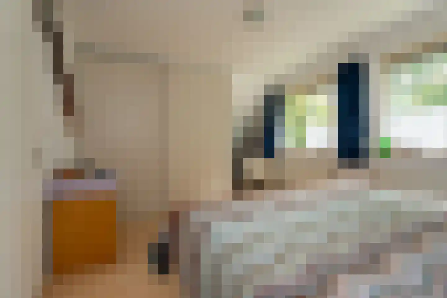 Robijnlaan 8 Veendam thumbnail 20