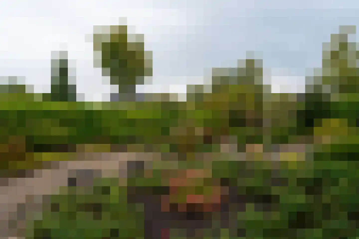 Robijnlaan 8 Veendam thumbnail 34