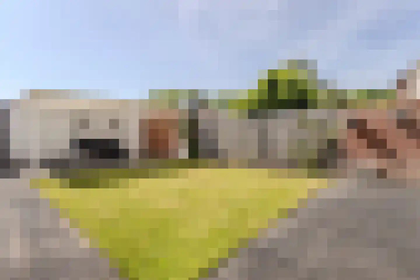 Robijnlaan 95 Cuijk thumbnail 4